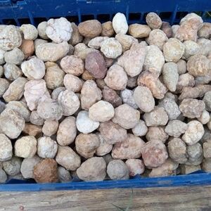 100 Count Unopened Mini break your own geodes open your own crystals minerals